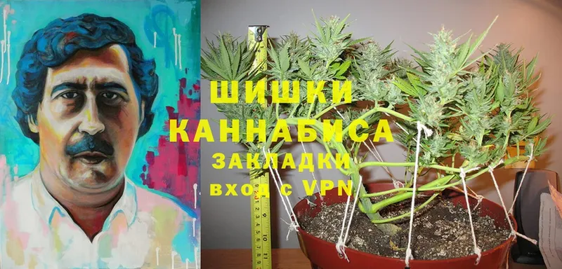 Канабис OG Kush  Добрянка 